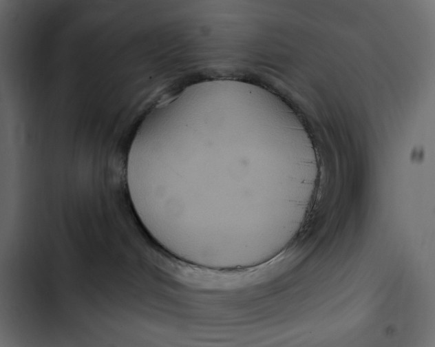 X0000103320048200809261147