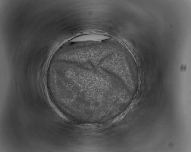 X0000103320049200809261146