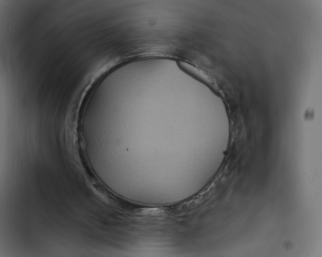 X0000103320050200809261146