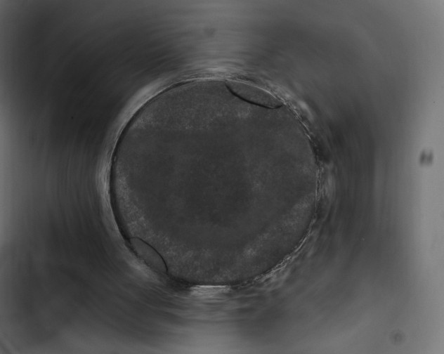 X0000103320051200809261146