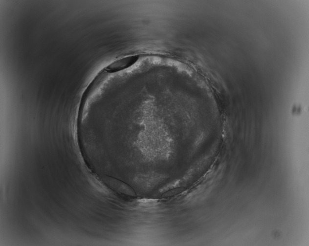 X0000103320052200809261146