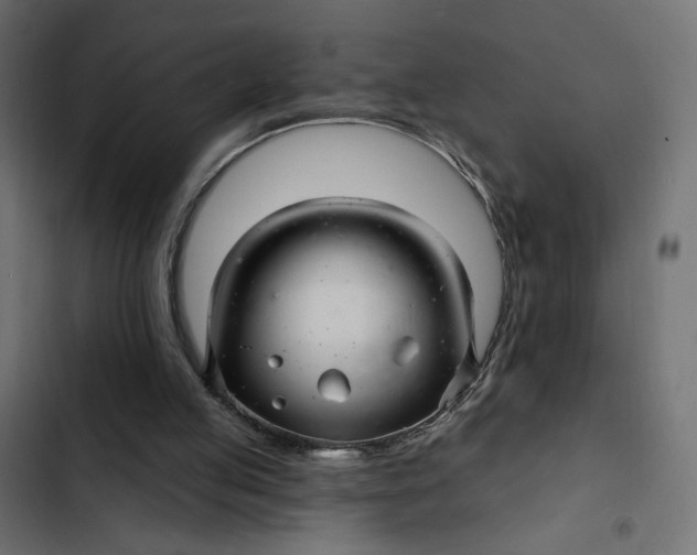 X0000103320053200809261146