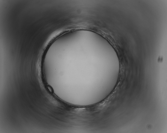 X0000103320054200809261146