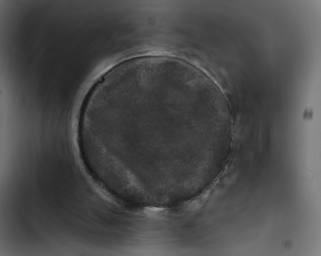 X0000103320055200809261146