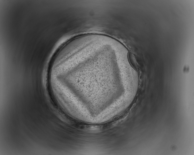 X0000103320056200809261146