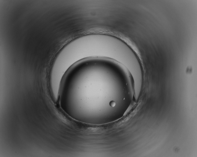 X0000103320057200809261147