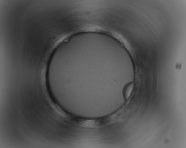 X0000103320058200809261147