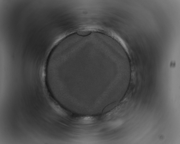 X0000103320059200809261147