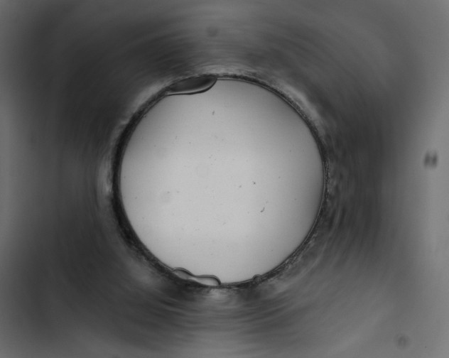 X0000103320060200809261147