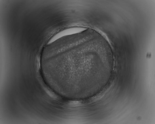 X0000103320061200809261147