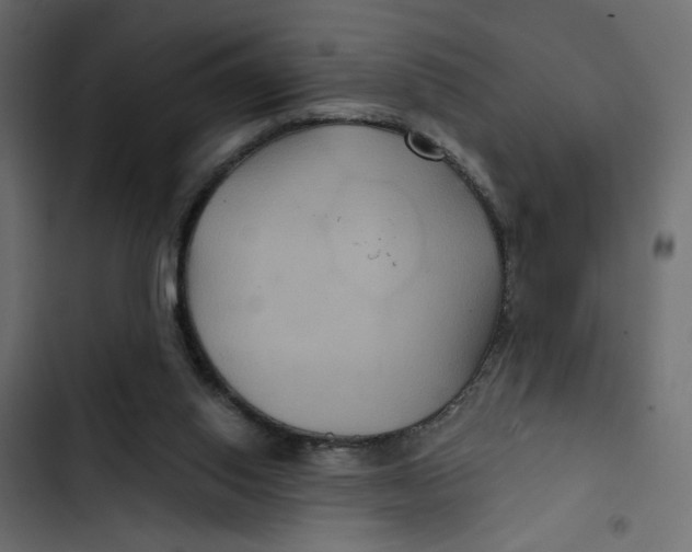 X0000103320062200809261147