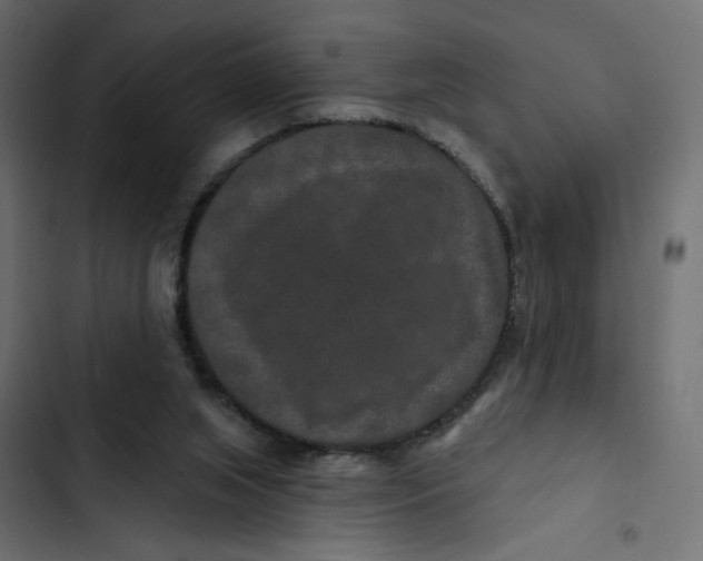 X0000103320063200809261147