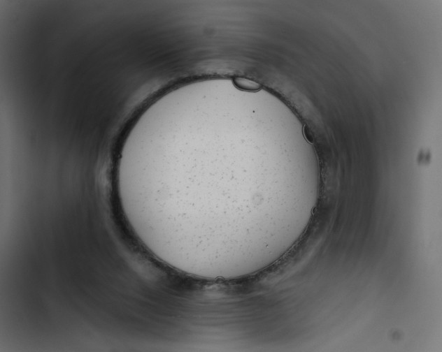 X0000103320064200809261147