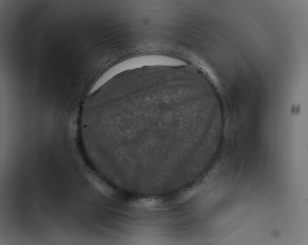 X0000103320065200809261147