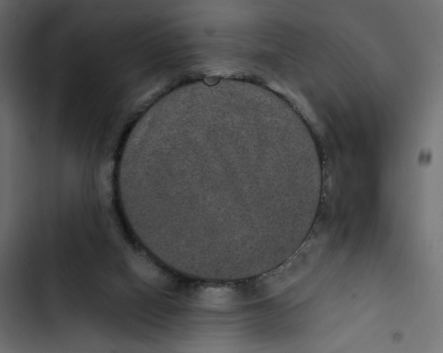 X0000103320066200809261147