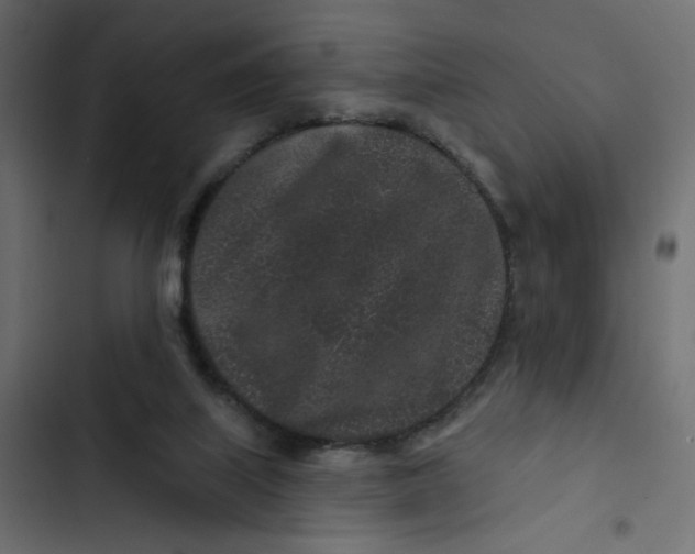 X0000103320067200809261147