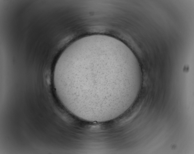 X0000103320068200809261147