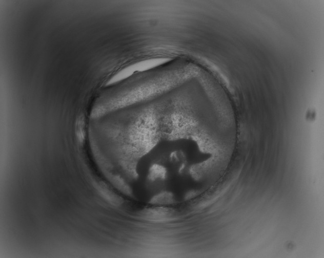 X0000103320069200809261147