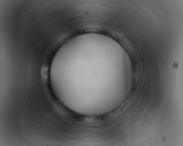 X0000103320070200809261147