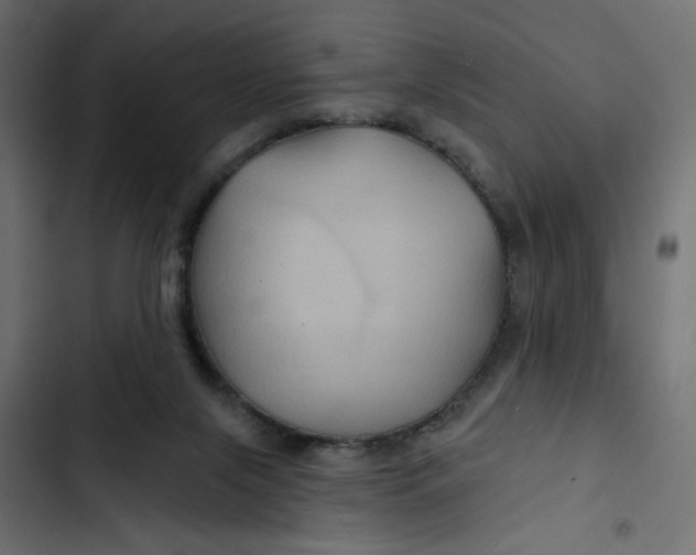 X0000103320071200809261147