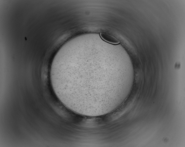 X0000103320072200809261147