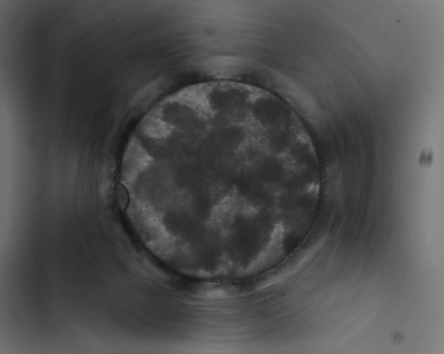 X0000103320073200809261147