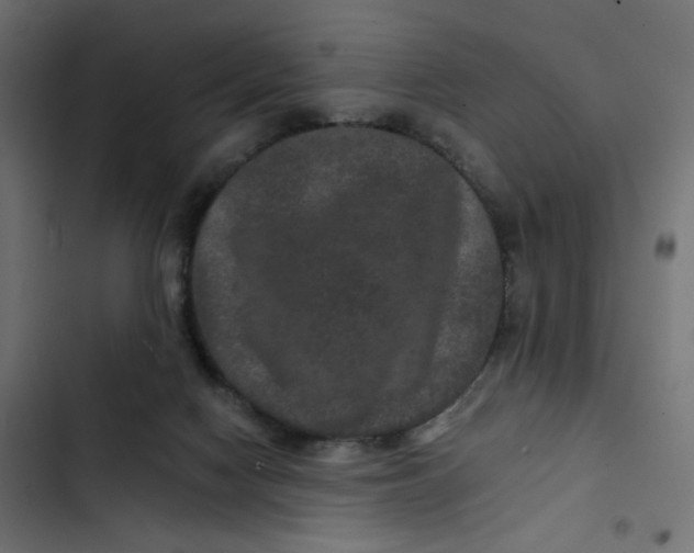 X0000103320074200809261147