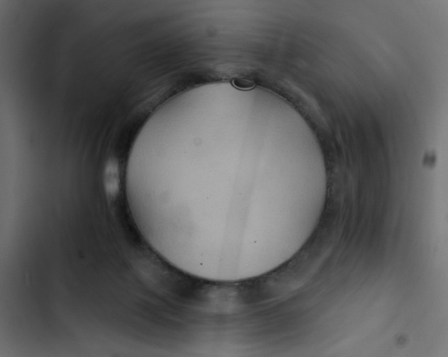 X0000103320075200809261147