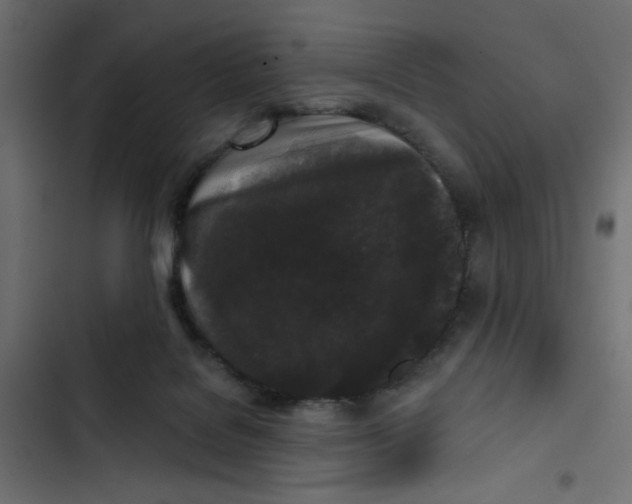 X0000103320076200809261147