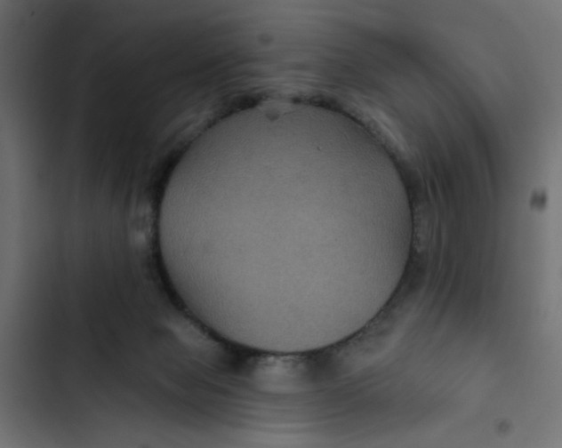 X0000103320077200809261147