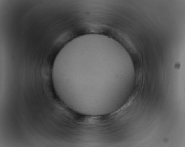 X0000103320078200809261147