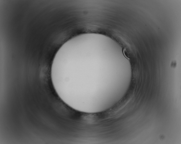 X0000103320079200809261147