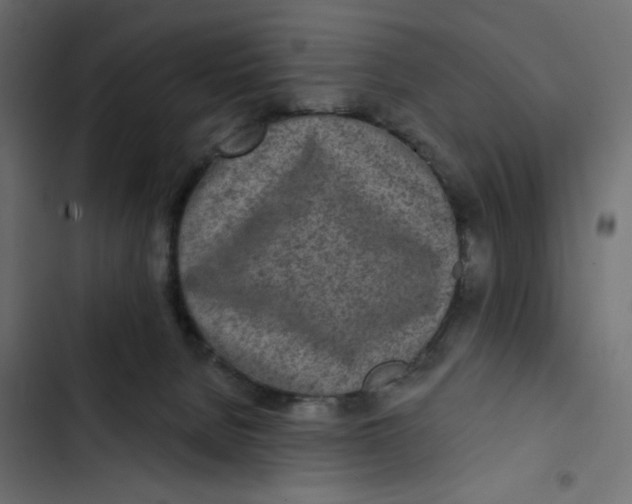 X0000103320080200809261147