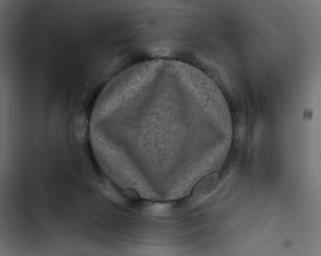 X0000103320081200809261147