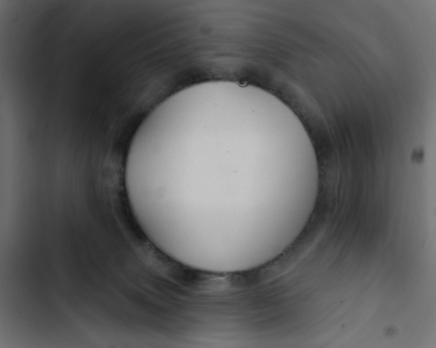 X0000103320083200809261147