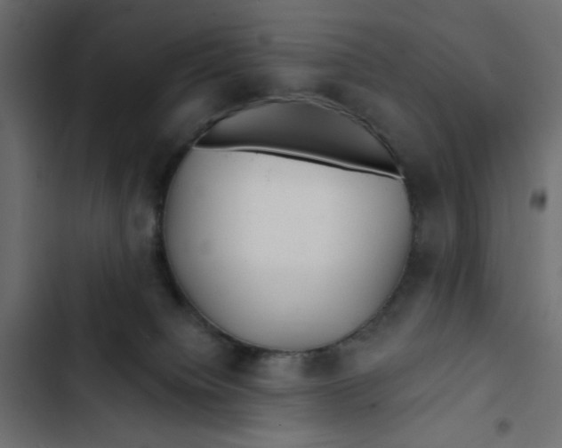 X0000103320084200809261147