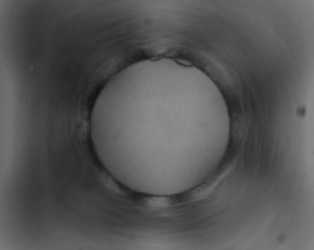 X0000103320085200809261147