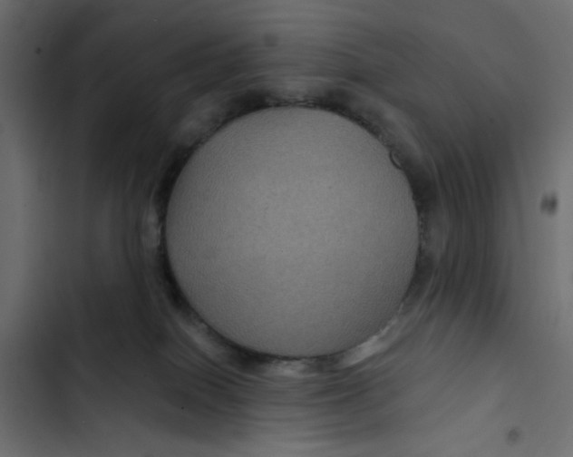 X0000103320086200809261147