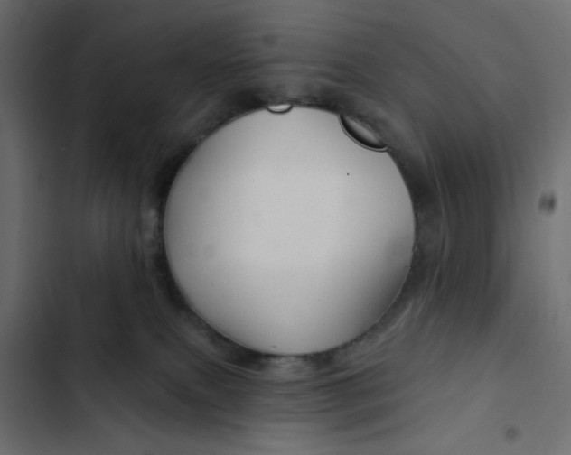 X0000103320087200809261147