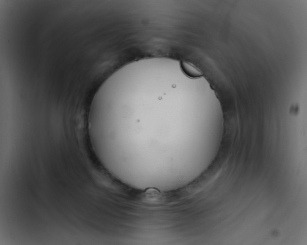 X0000103320088200809261147