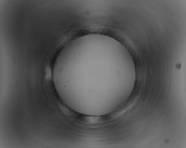 X0000103320089200809261147