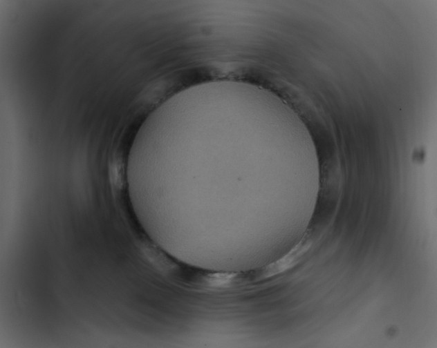 X0000103320090200809261147