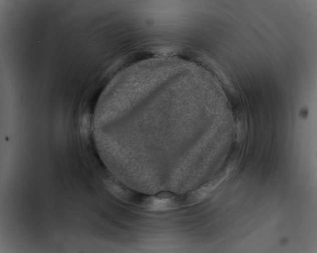 X0000103320093200809261147