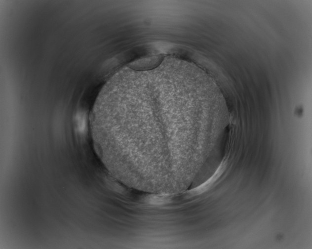 X0000103320094200809261147