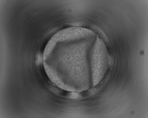 X0000103320095200809261147