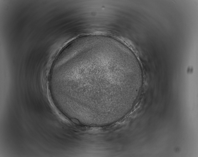 X0000103320097200809261146