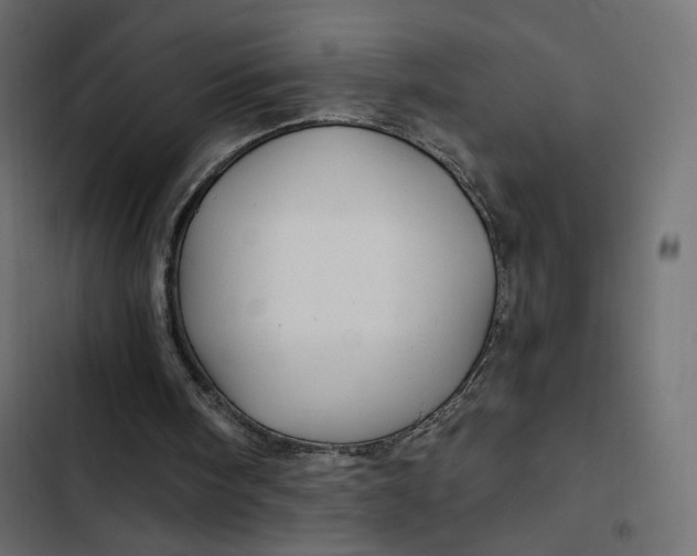 X0000103320098200809261146