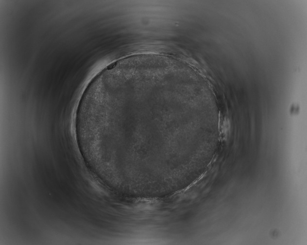 X0000103320099200809261146