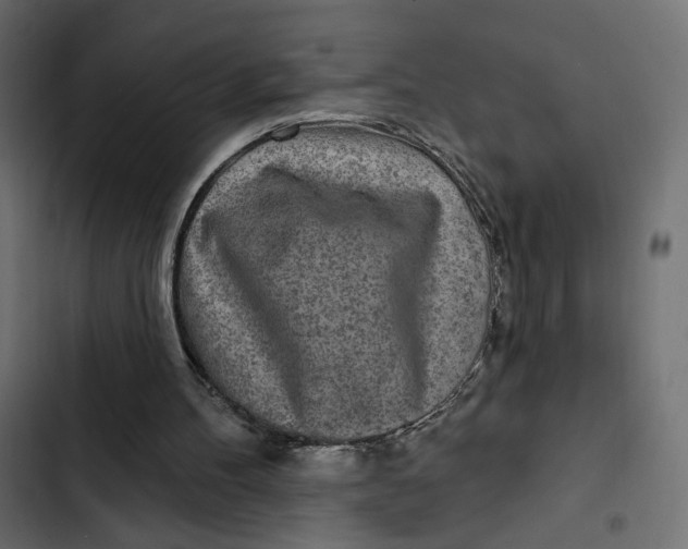 X0000103320100200809261146