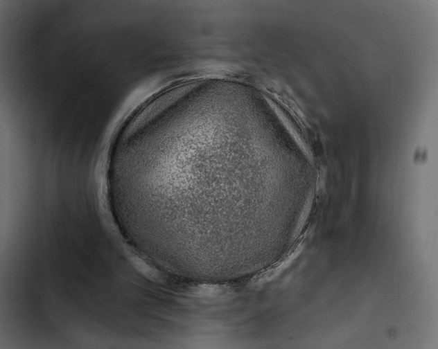 X0000103320101200809261146